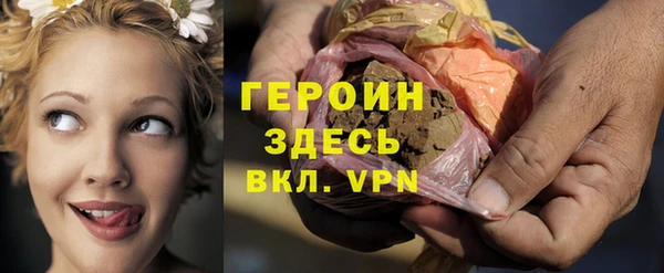 соль ск Ельня