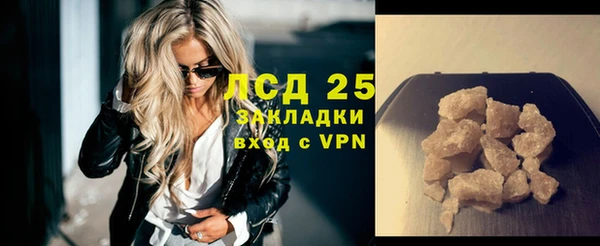 соль ск Ельня