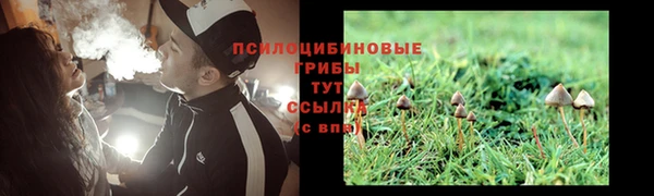 apvp Елабуга