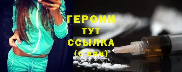 соль ск Ельня