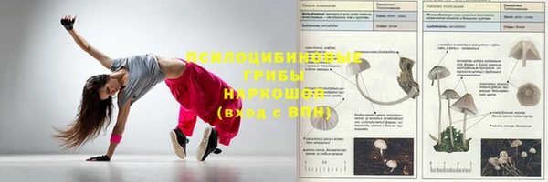 соль ск Ельня