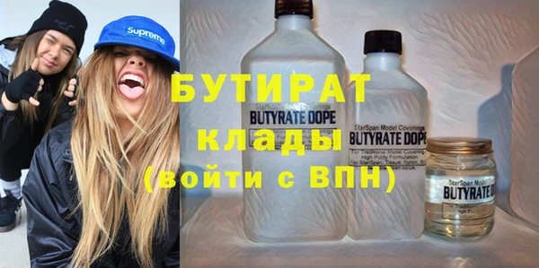 соль ск Ельня