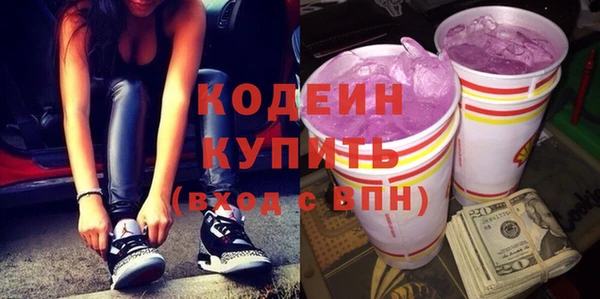 соль ск Ельня