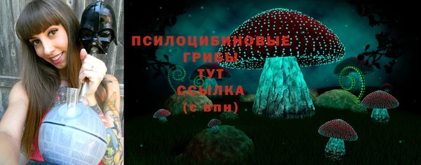 соль ск Ельня