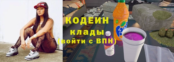 соль ск Ельня