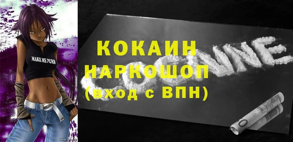 соль ск Ельня