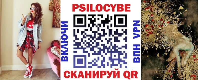дарнет шоп  Камышлов  Галлюциногенные грибы Cubensis 