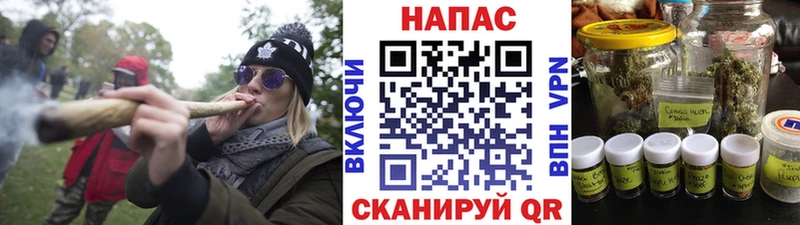 Шишки марихуана конопля  Камышлов 